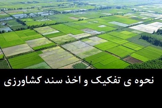 تفکیک، سنددار کردن و فروش قانونی اراضی کشاورزی در استان اصفهان | وکیل متخصص امور زمین